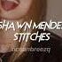 Shawn Mendes Stitches Sped Up Reverb