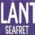 Seafret Atlantis Extra Sped Up Version Lyrics