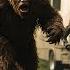 Bigfoot The Most Shocking Sighting Of The Year