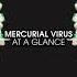 Mercurial Virus At A Glance Extended Mix HIGH VOLTAGE RECORDINGS