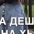 Доттаг1а