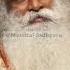 OJAS Non Physical Form Of Energy Sadhguru Ojas Latest