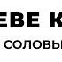 Во чреве кита Александр Соловьев