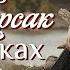 АЛИ КОРСАК В ПОИСКАХ СЕБЯ Христианские рассказы Истории из жизни Для широкого круга