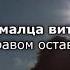 Седа Асхабова Амалца вити Чеченский и русский текст