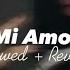 Mi Amor Slowed Reverb Sharn Desi Avenue