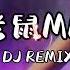 老鼠MM 都抖音上头歌曲 DJ REMIX DJDJ DJDJ Douyin Tiktok Trend Song 高音质 Chuột MM