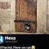 The Oldest Cat Door Meme Cat England