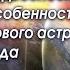 СУДЬБОНОСНЫЕ ОСОБЕННОСТИ НАЧАЛА НОВОГО АСТРОЛОГИЧЕСКОГО ГОДА ПРИГЛАШАЕМ НА ВЕБИНАР 20 МАРТА 2025