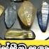 SRI LANKAN TRADITIONAL METHODS AND INSTRUMENTS OF GEUDA HEAT TREATMENT ග ව ඩ ප ළ ස ස ම