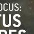 Faction Focus Adeptus Custodes Warhammer 40 000