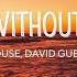 Shouse David Guetta Live Without Love