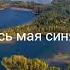 Беларусь мая синявокая