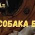 Классика Советского Радио Собака Баскервилей Артур Конан Дойл радиоспектакль