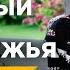 Что делать если нет денег Психология бедности Стоит ли просить деньги у богатых 16