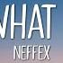 NEFFEX THAT S WHAT IT TAKES Lyrics