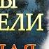 КОТЫ ВОИТЕЛИ 5 Опасная Тропа 11 серия