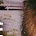 Shocking Murder Of Susan Eads Bloodline Detectives With Nancy Grace