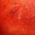 Genius Watermelon Cutting Tips No Juice No Fuss Just Easy