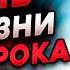 Когда ВПЕРВЫЕ Играешь В ФИНАЛЕ ЛАН ТУРНИРА НА СЦЕНЕ РЕАЛЬНЫЙ ПУТЬ В КИБЕРСПОРТ