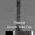 Ethel Cain Onanist Official Visualizer
