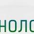 Пути Пробуждения Именология Выпуск 1 Что в имени тебе моём