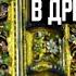 Старые книги рассказывают совершенно другую историю мира