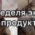 Вторая неделя экономии Что то пошло не по плану Что готовили и что ели Живем на 20тыс в месяц