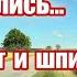 Таро Массированый обстрел повторится Путин и Шольц Маск кто за ним стоит таропрогноз