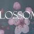 Blossom Official Audio