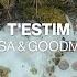 LissA Goodman T Estim Music Video