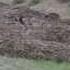 Flash Flood Fills 6 Ft Culvert On Cerrososo Road 7 8 13