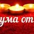 Я без ума от тебя
