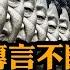 習近平傳聞不斷 長安街管制 央視視頻越抹越黑 越共總書記突然去世 告誡共產國家最高權力交接災難 全球電腦藍屏 微軟三方軟體出錯 彷彿戰爭降臨 江峰漫談20240719第903期