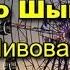 ПЕСНЯ О ШЫМКЕНТЕ О Пивоварова