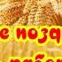 Поздравления с Днем работников сельского хозяйства красивые видео поздравления видео открытка