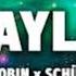 DJ Robin X Schürze Layla DJCrush Remix