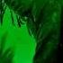 Travis Scott SDP Interlude Extended