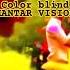 Color Blind Mantar Vision The Caravan Sessions Lifejourney