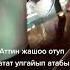 Жалынсанда токтобос Омур болот турбайбы