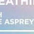 Ujjayi Breathing AKA Ocean Breath With Dave Asprey