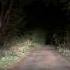 Dark Night Village Road Scary Moment Horrorshorts Scarystories Darknight