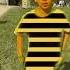 Maya L Abeille