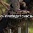 Дерево которое поёт на ветру Singing Ringing Tree Англия
