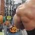 Тренировка спины Back Workout
