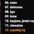 Patrycja Kosiarkiewicz 12 Uspokój Się Audio