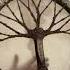 Shaman Drum Tree Of Life