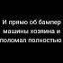 анекдот про собаку