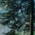 Amarrah Gold Ft My Son Little Things Musician Jeff Kaale Beat A Walk In The Woods Jeffkaale