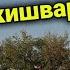 9 МИЛЛИОН СУХТЕМ ТАМОШОИ ТОШКЕНТ 29 08 22